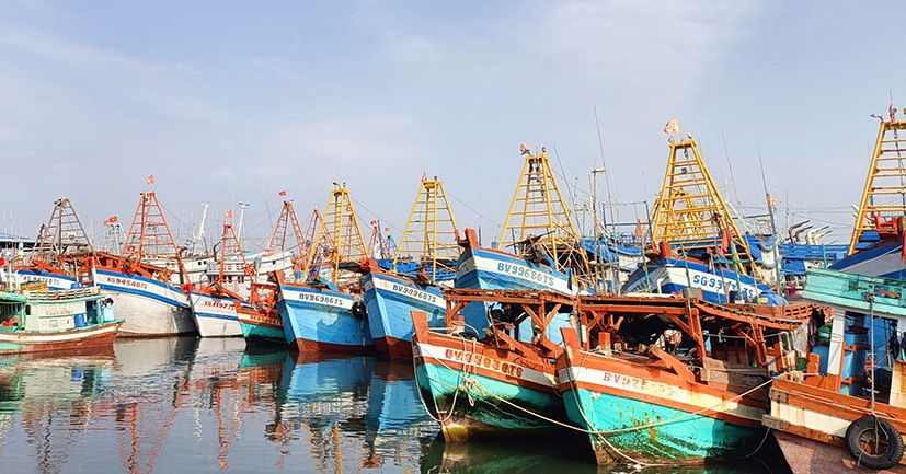 TP.Vũng Tàu đẩy mạnh phát triển đội tàu hiện đại, đánh bắt vùng khơi với những loài hải sản có giá trị kinh tế cao. Trong ảnh: Tàu cá neo đậu ở cảng Cát Lở (TP.Vũng Tàu).