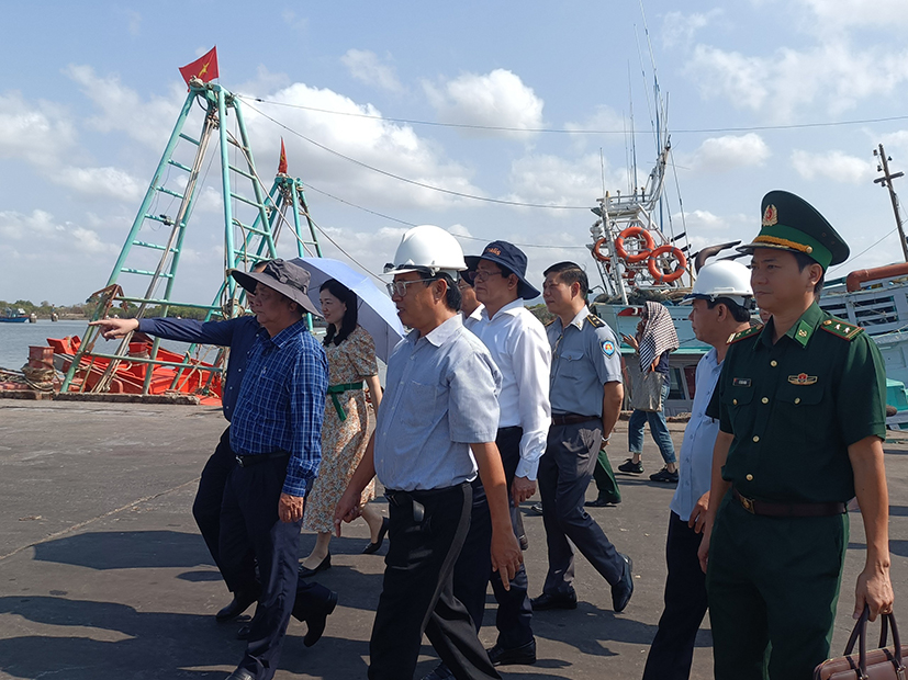 Đoàn công tác Bộ NN-PTNT kiểm tra công tác IUU tại cảng Cát Lở (TP.Vũng Tàu) ngày 8/4/2024.