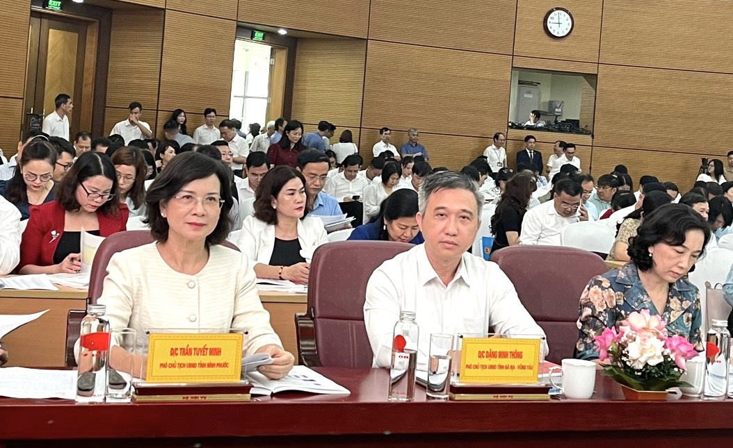 Ông Đặng Minh Thông, Phó Chủ tịch UBND tỉnh tham dự hội nghị.