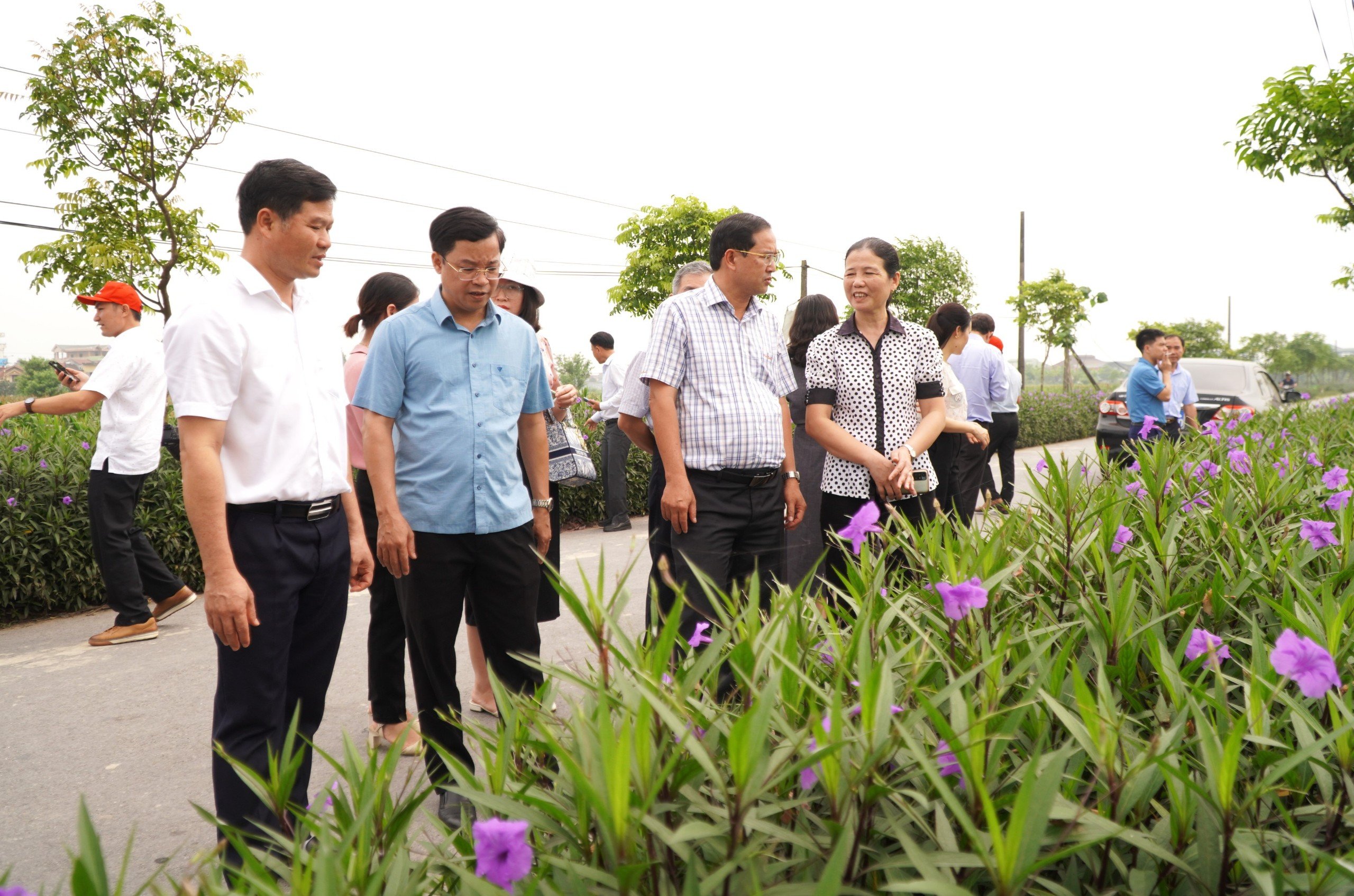 Đoàn công tác huyện Châu Đức tham quan đường hoa tiêu biểu tại Nam Định