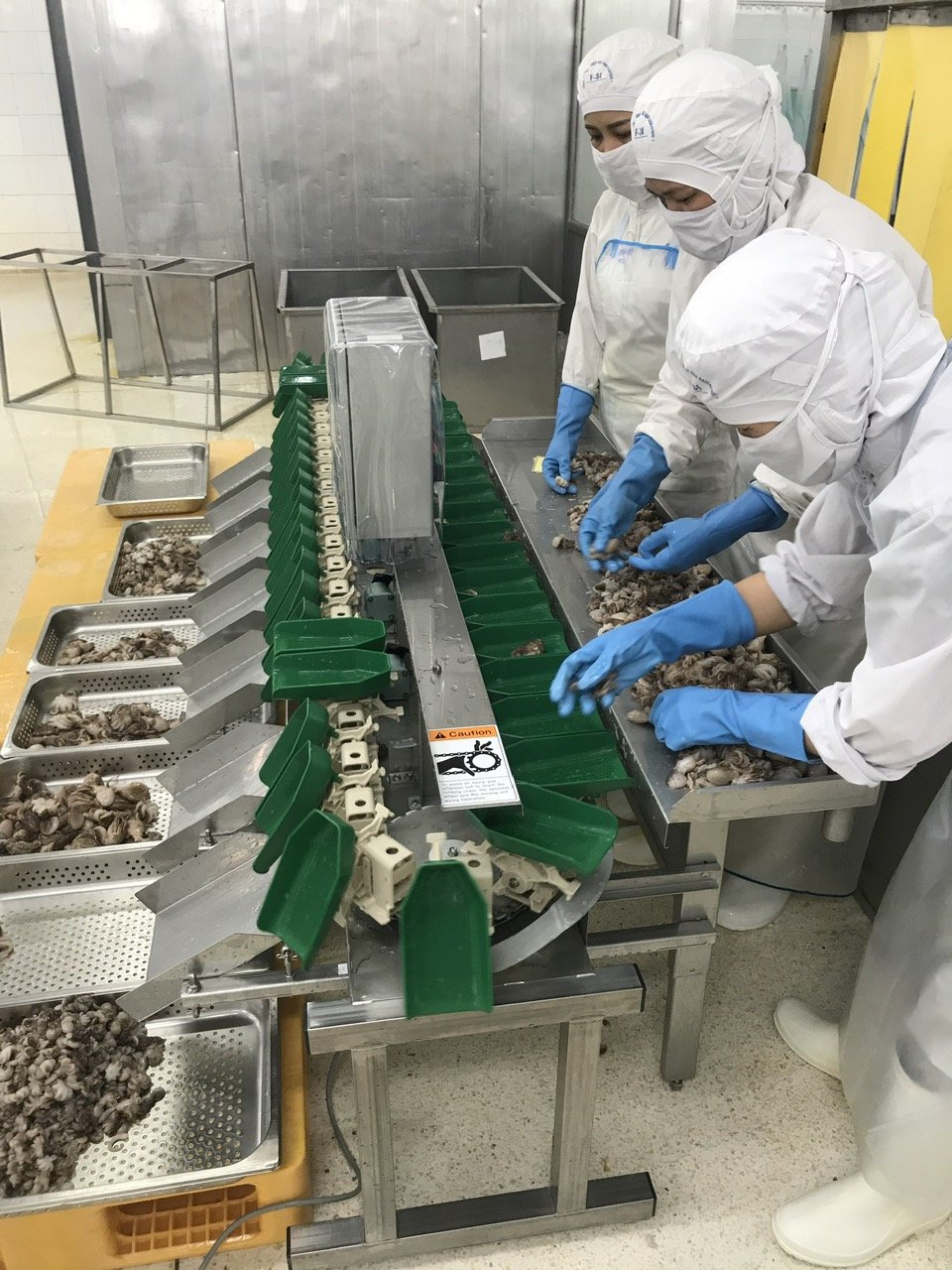 Dây chuyền công nghệ phân size hải sản của Công ty Baseafood 1 (TP.Bà Rịa).