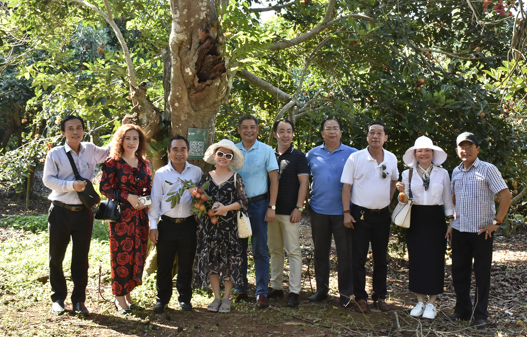 Các thành viên Hiệp hội Du lịch tỉnh Bà Rịa-Vũng Tàu và TP.Hồ Chí Minh chụp ảnh lưu niệm dưới gốc chôm chôm 100 tuổi tại vườn trái cây Sáu Hùng. 
