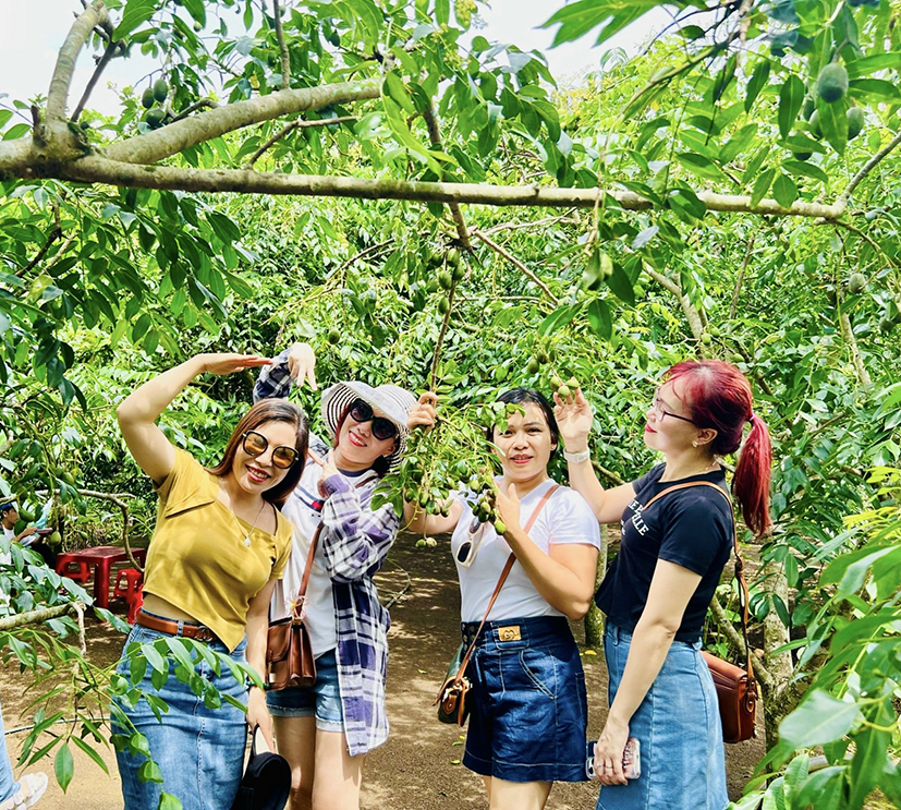 Khách check-in vườn cây ăn trái tại vườn trái cây Dì Hai (Long Khánh, Đồng Nai).