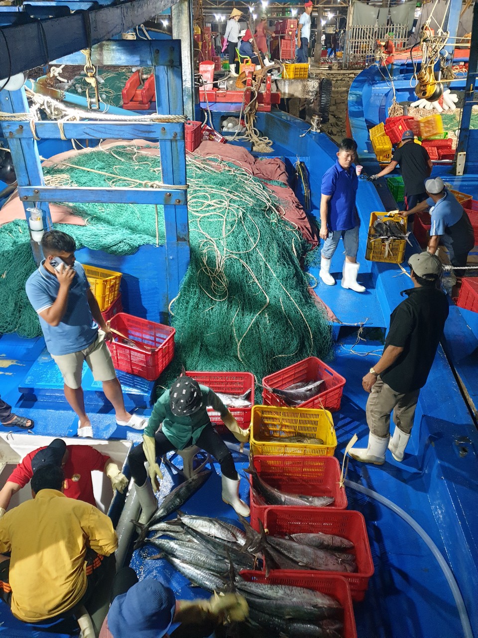 Tàu cá cập cảng Incomap (TP.Vũng Tàu).