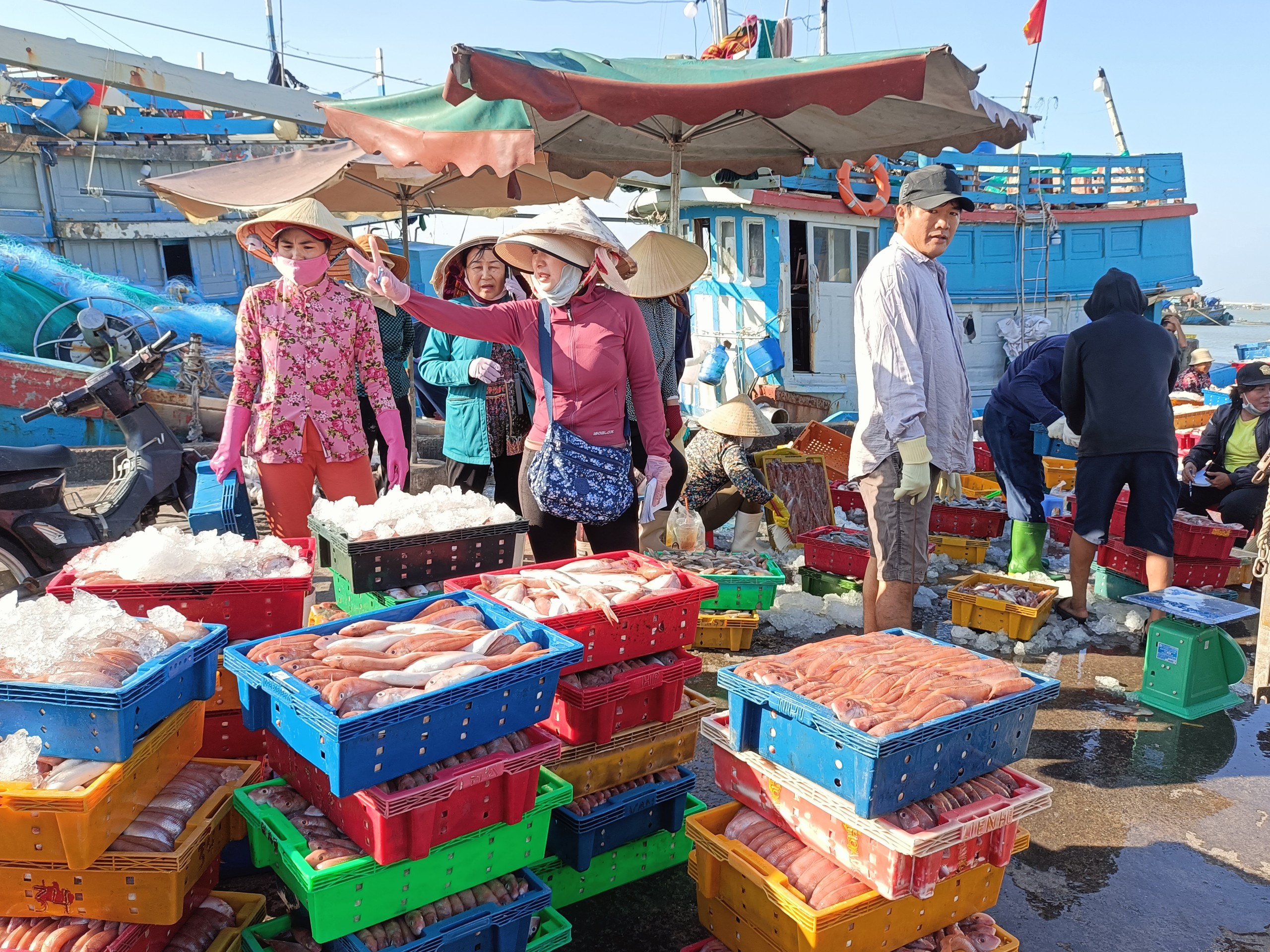 Hải sản cập cảng Tân Phước (huyện Long Điền).