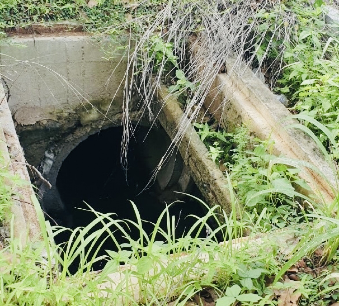 Một hố ga trên đường ven biển 994 khuyết nắp đậy, cỏ phủ đầy miệng cống, nếu không chú ý sẽ rất nguy hiểm cho người đi đường.