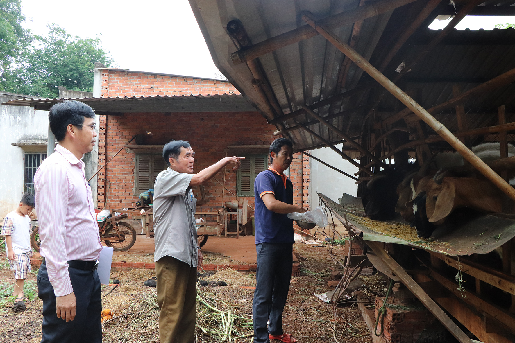 Anh Phan Văn Thịnh (bên phải), xã Long Phước, TP.Bà Rịa thoát nghèo từ mô hình nuôi dê thịt và nuôi bò sinh sản.
