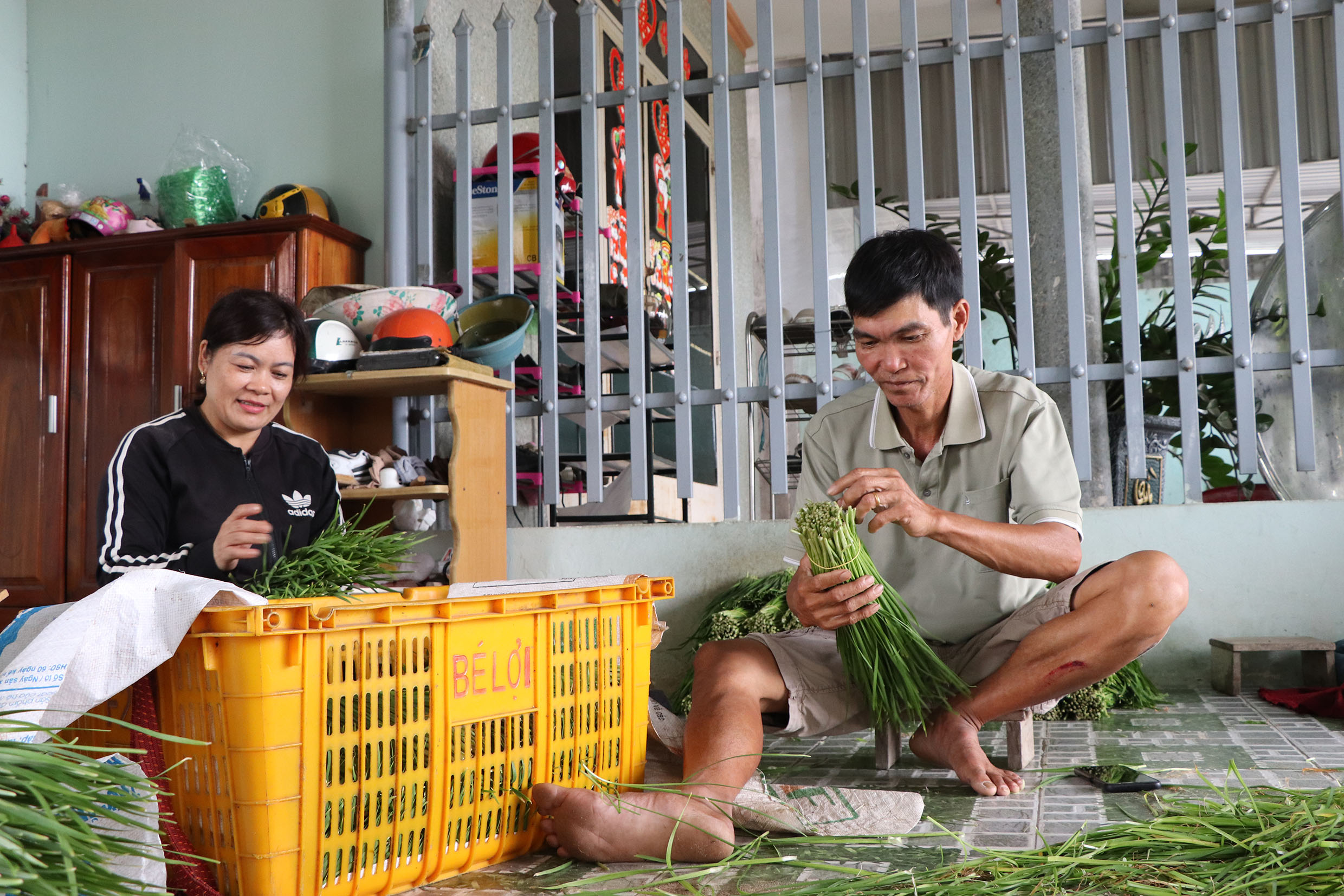 Gia đình bà Vũ Thị Hoa, KP. Kim Sơn, phường Kim Dinh tranh thủ bó hẹ (nửa kg/bó) để kịp giao cho thương lái.