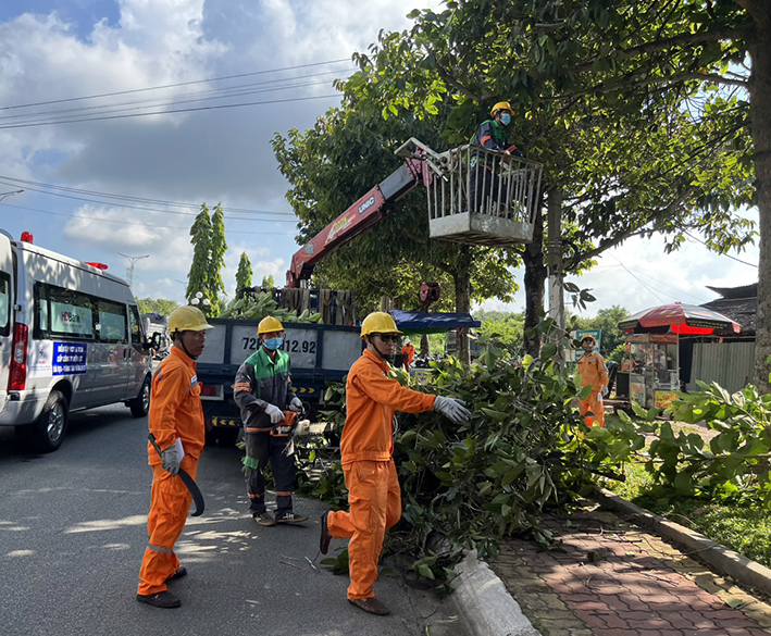 Công nhân Điện lực Vũng Tàu cắt tỉa cây xanh trước mùa mưa bão.