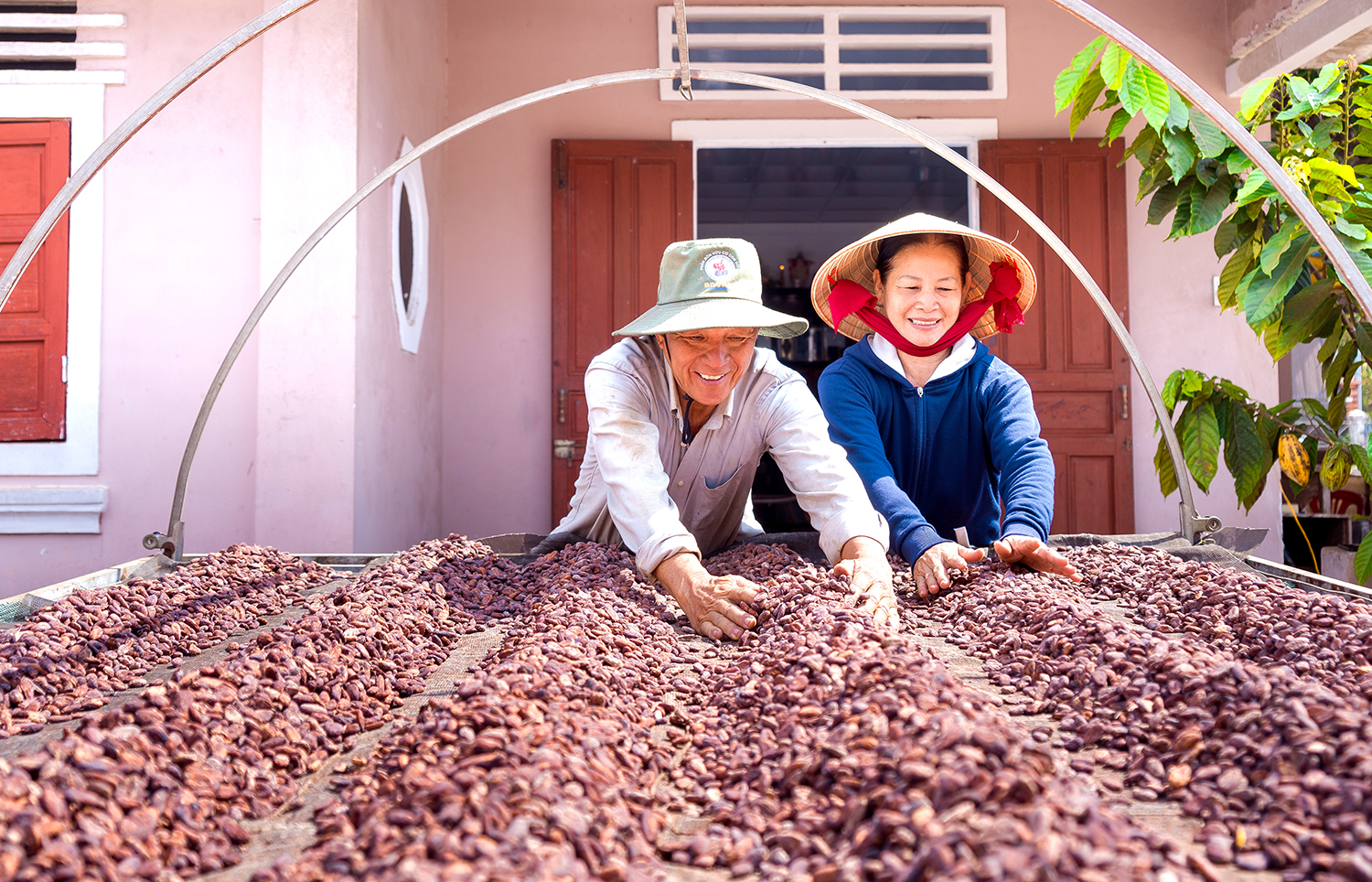 Các mô hình sản xuất nông sản hữu cơ, không độc hại được phát triển. Trong ảnh: nông dân xã Bình Giã chế biến ca cao