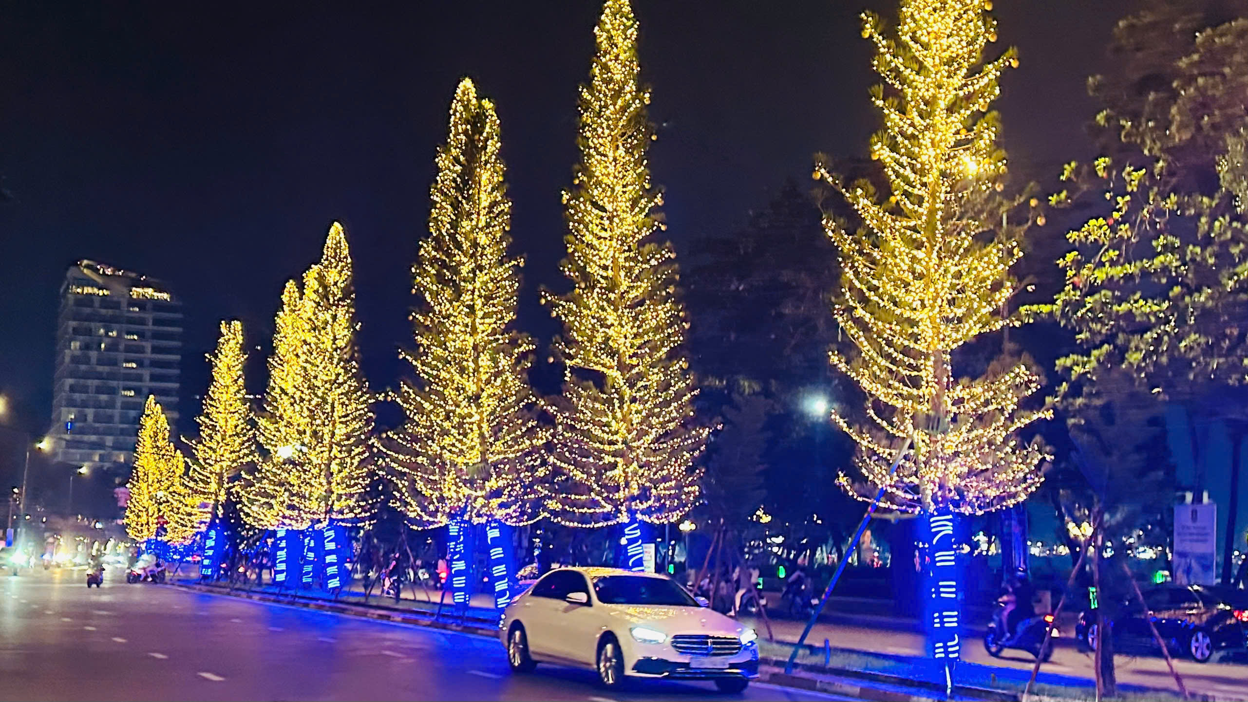 Hàng tùng bách tán phát sáng lung linh trên dải phân cách Quang Trung - Hạ Long, TP. Vũng Tàu. 