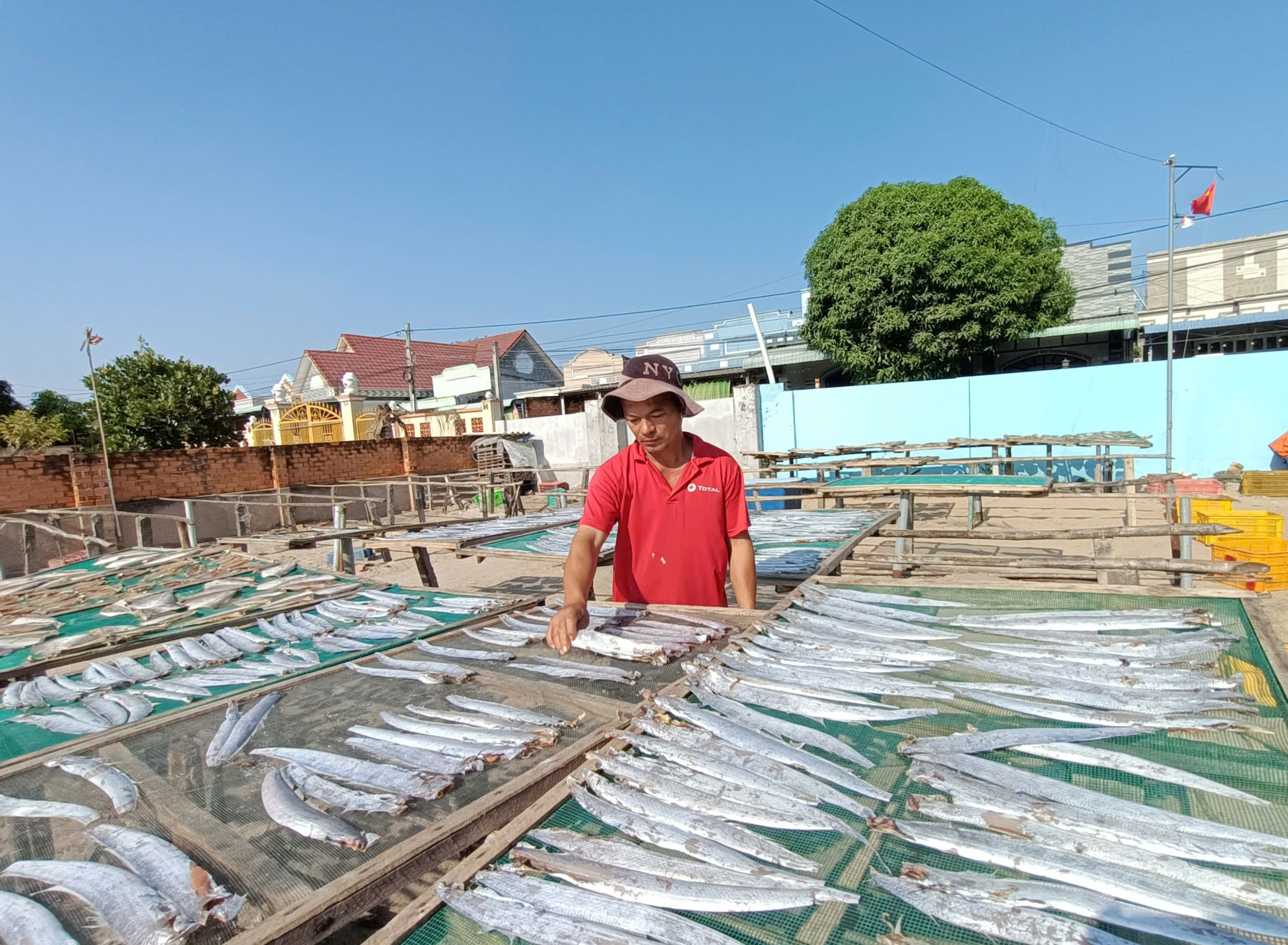 Thị trường đìu hiu, cung-cầu giảm mạnh nên năm nay cơ sở của bà Nguyễn Thị Bích Vân (KP.Phước Điền,  TT.Phước Hải, huyện Đất Đỏ) chỉ làm cầm chừng 100kg cá khô phục vụ thị trường Tết.