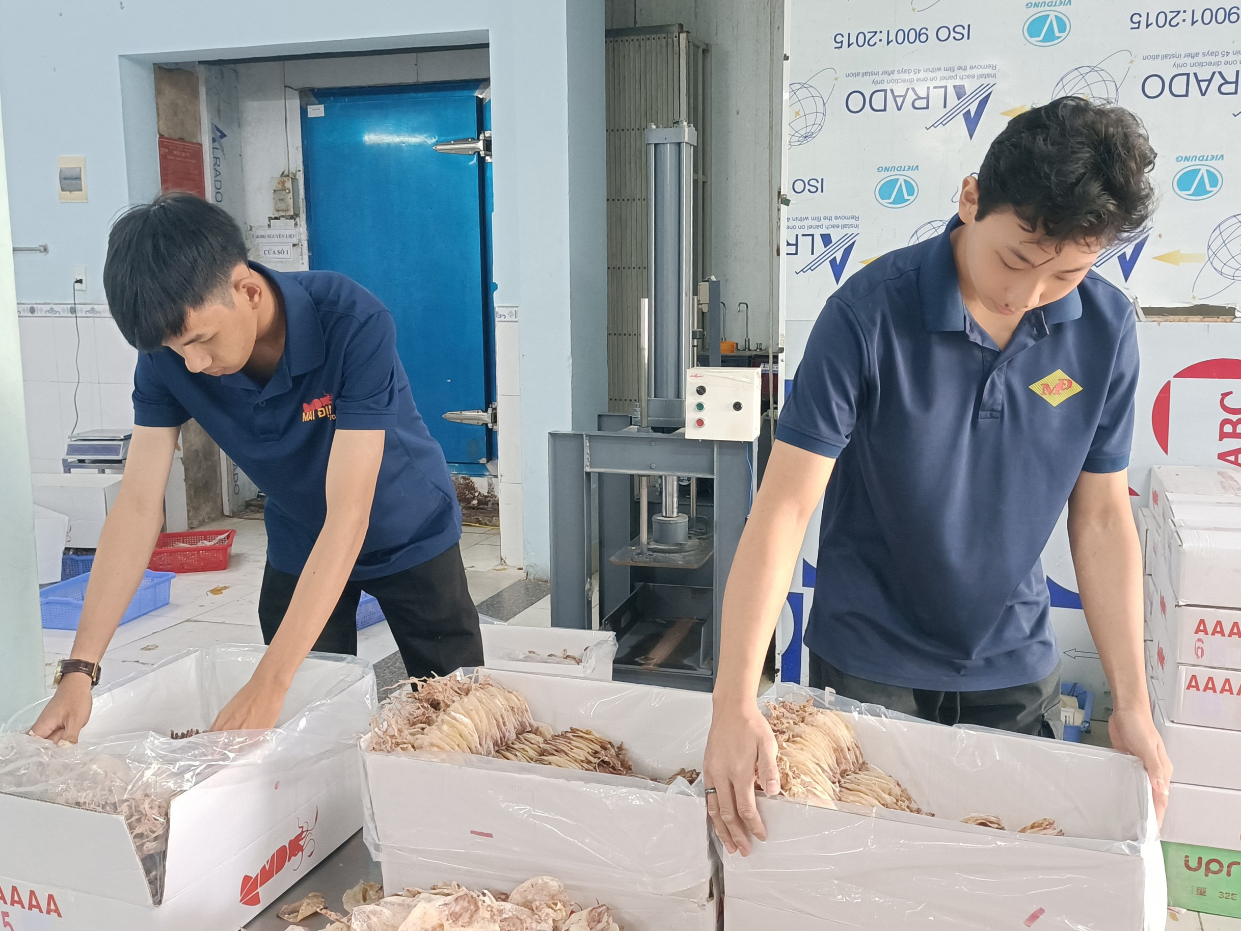 Đóng hàng mực khô ở Công ty Mai Định (xã Phước Hưng,  huyện Long Điền).