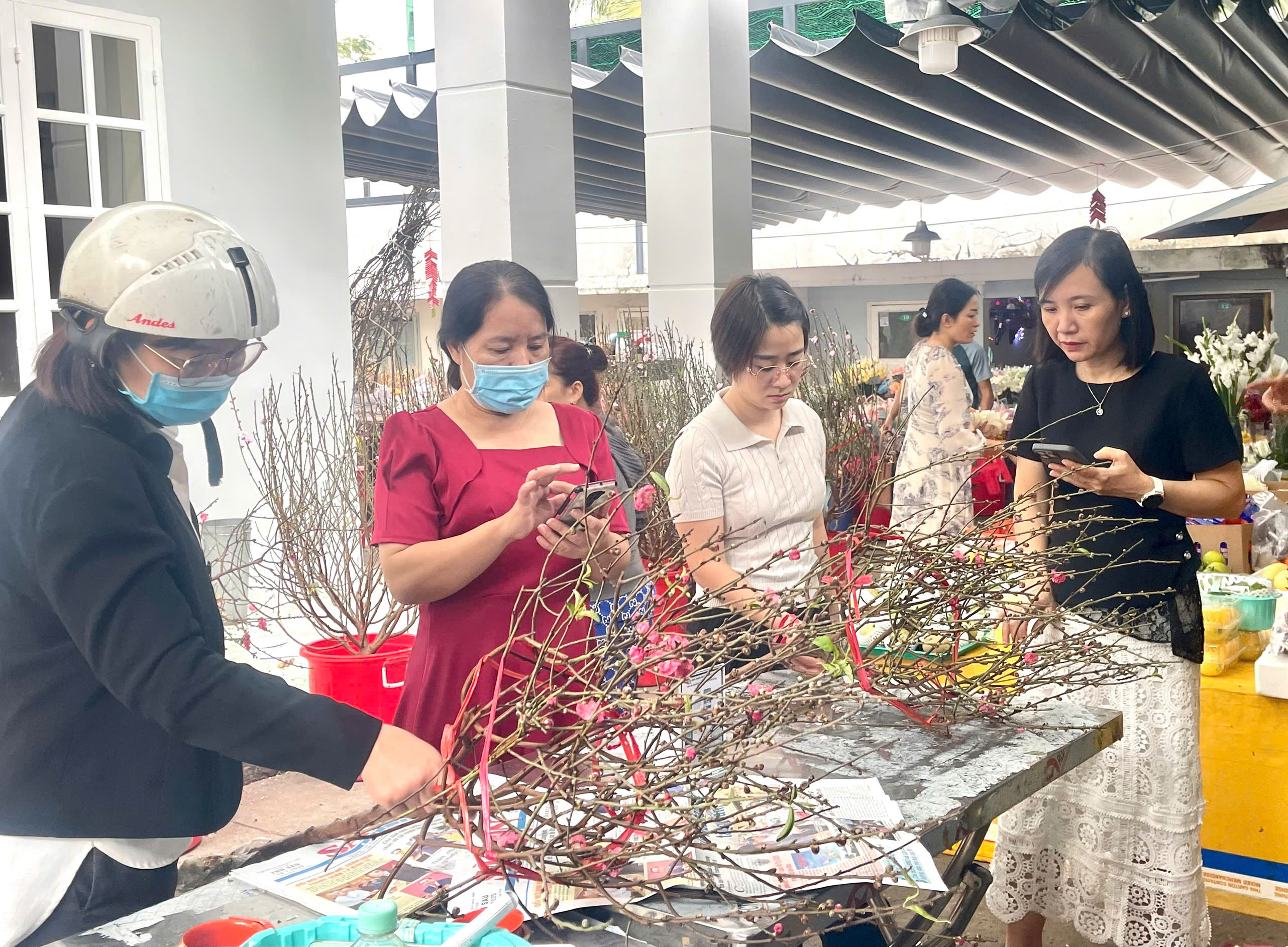 Người dân chọn mua đào Tết tại cửa hàng hoa trên đường Lê Ngọc Hân, TP.Vũng Tàu.