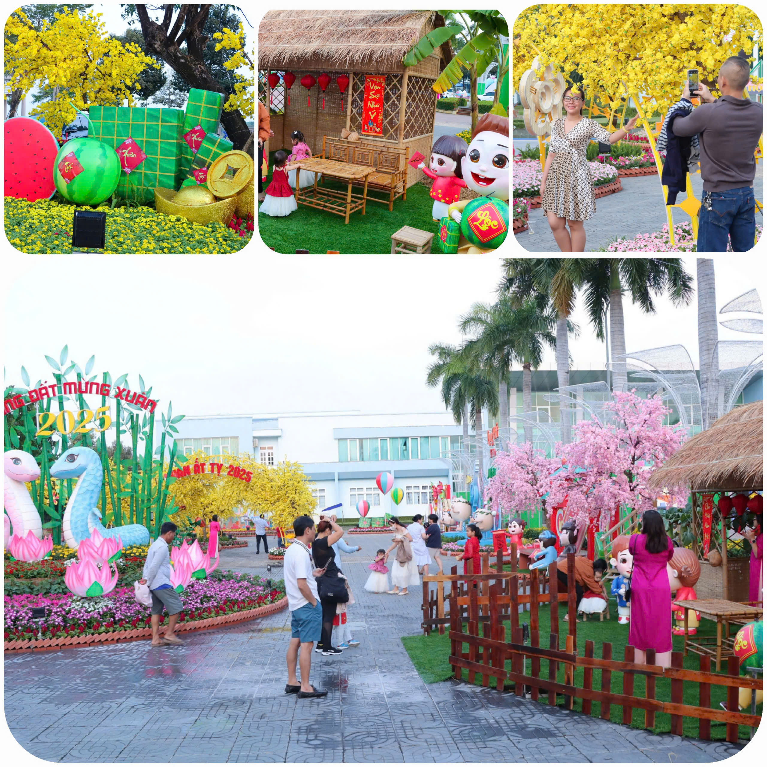 Người dân huyện Long Đất du Xuân, cùng nhau ghi lại những khoảnh khắc đáng nhớ của năm mới Ất Tỵ 2025.