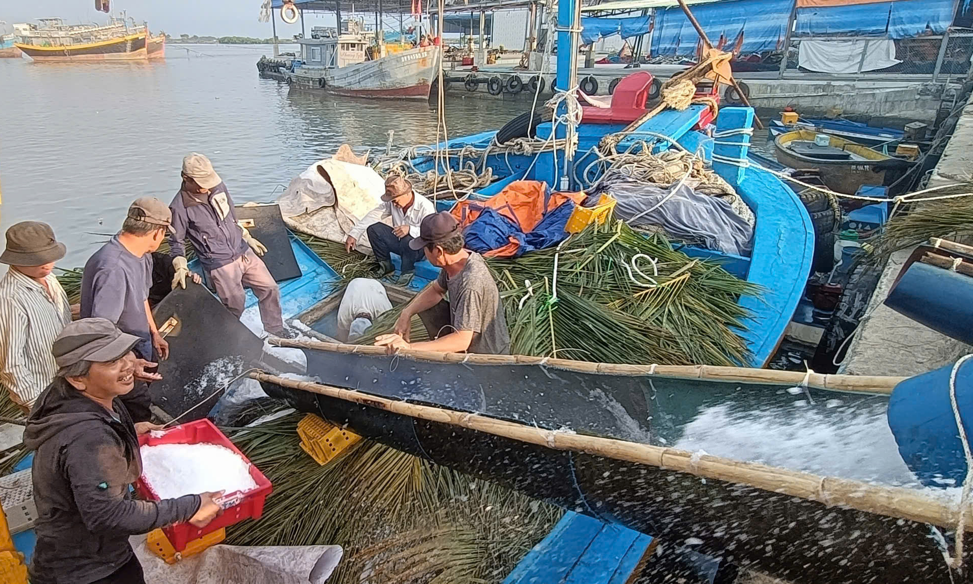 3 tàu vận tải của ông Nguyễn Hoàng Anh (TT.Long Hải, huyện Long Đất) xuất hành ngày mùng 6 Tết.