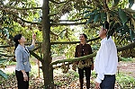 Thăm các mô hình sản xuất nông nghiệp