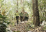 Chủ động phòng, chống cháy rừng mùa khô