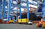 Dẫn đầu cả nước về sản lượng hàng container qua cảng biển