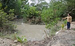 Suối Thị Vải ô nhiễm bất thường