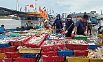 Giải quyết dứt điểm các tồn tại trong chống khai thác IUU