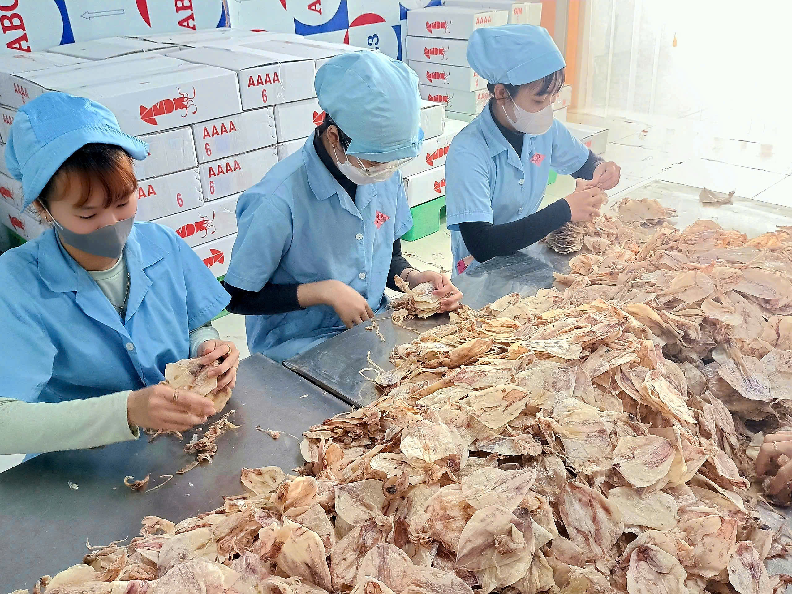 Công nhân Công ty Mai Định (huyện Long Đất) sơ chế mực xuất khẩu.