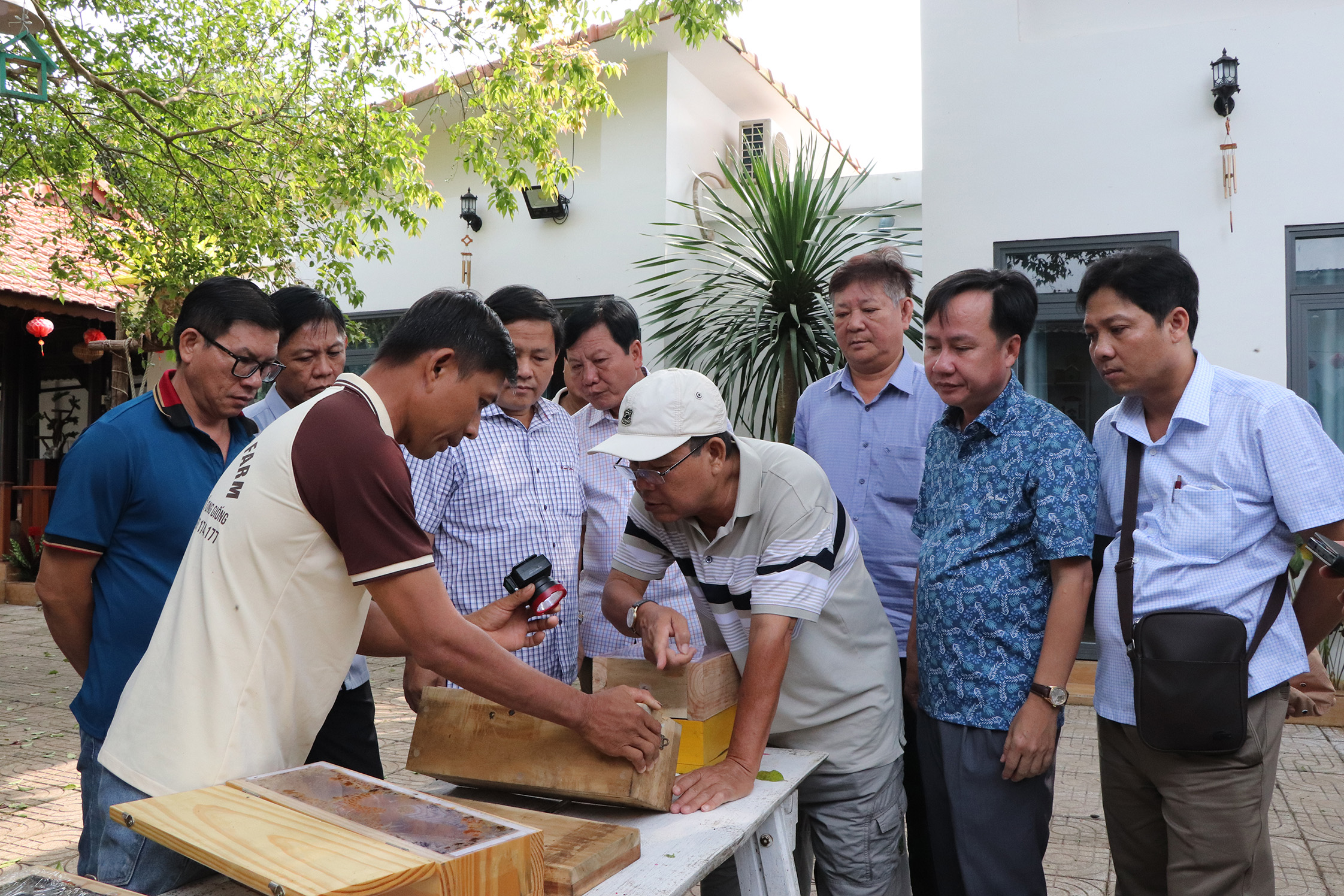 Ông Vũ Đức Tuấn Giao (bìa trái), chủ cơ sở nuôi ong dú Win’s Farm (xã Xà Bang, huyện Châu Đức) giới thiệu cách nhân đàn ong với Đoàn cán bộ Hội Nông dân TX.Tân Châu (An Giang).