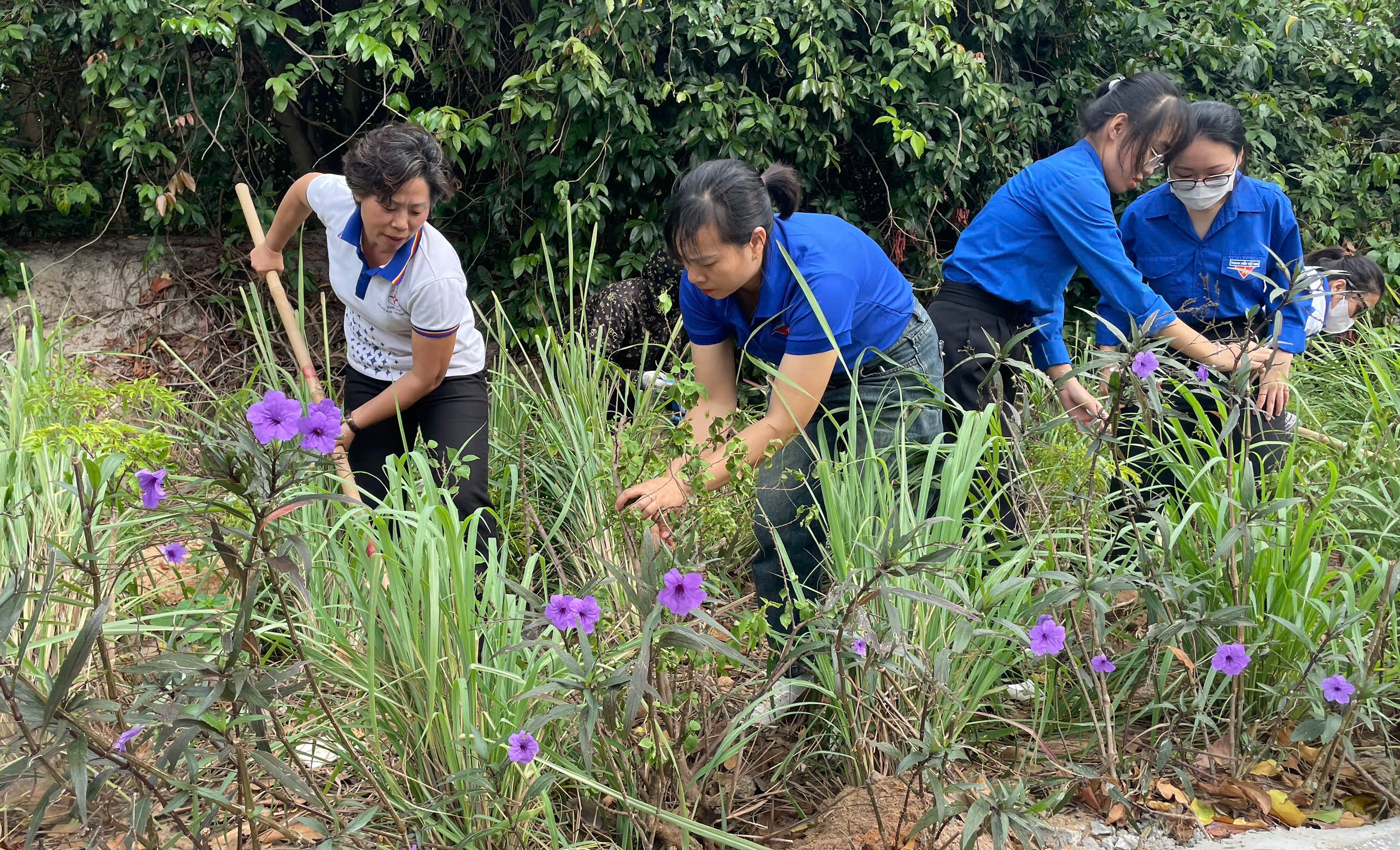 Nhân viên Điện lực và đoàn viên thanh niên huyện Côn Đảo trồng cây hưởng ứng sự kiện Giờ Trái đất.
