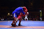 Sambo - môn võ mới hấp dẫn khán giả