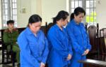 3 người lãnh 50 năm tù vì làm giả sổ đỏ để lừa đảo