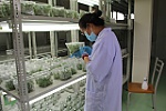 Đẩy mạnh phát triển công nghiệp sinh học