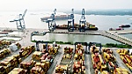 Doanh nghiệp xuất khẩu thấp thỏm với cước vận tải biển