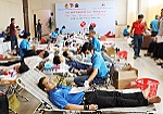 Tiếp nhận 259 đơn vị máu