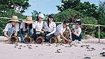 Trải nghiệm tour bảo tồn thiên nhiên ở Côn Đảo