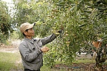Ứng dụng công nghệ mới trong trồng trọt