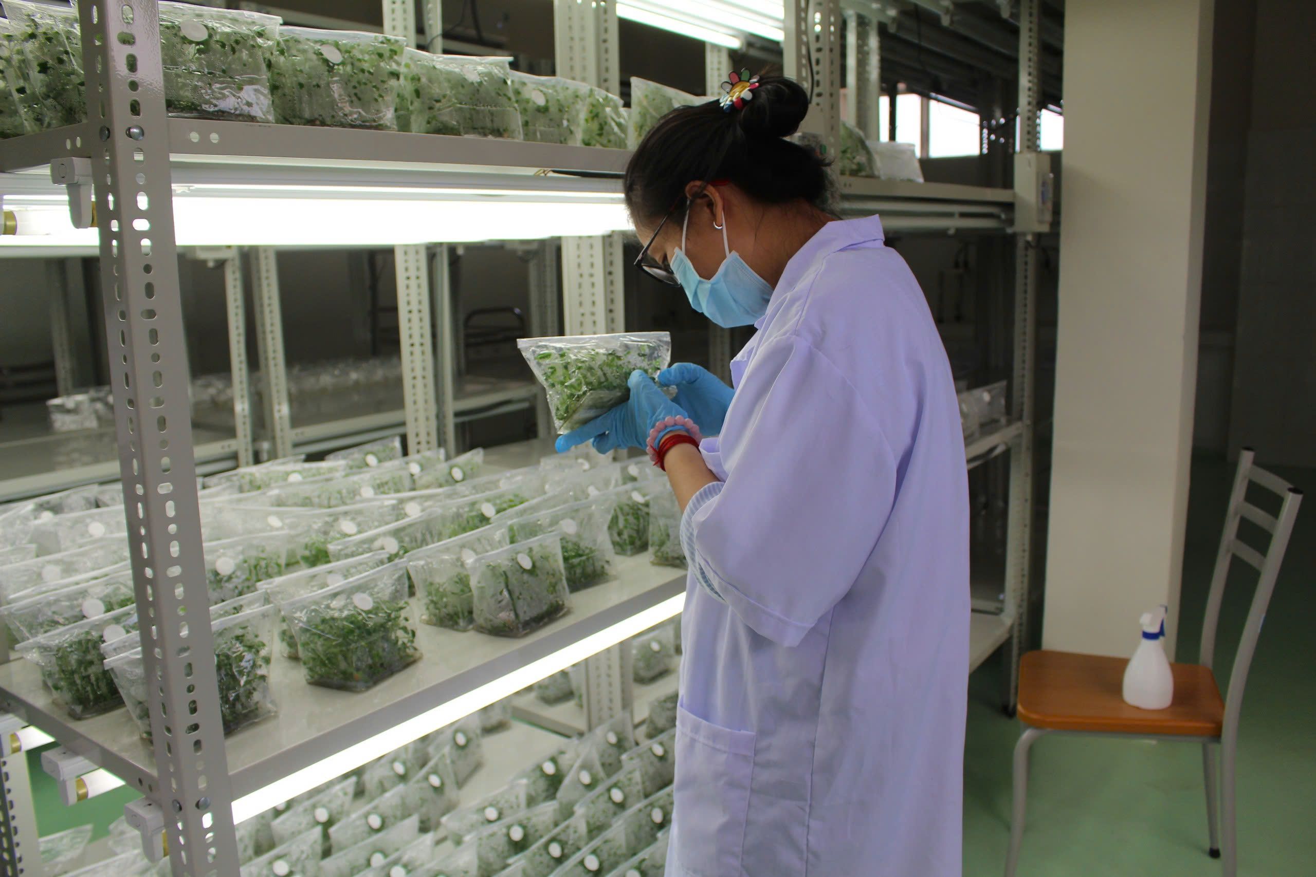 Đẩy mạnh phát triển công nghiệp sinh học