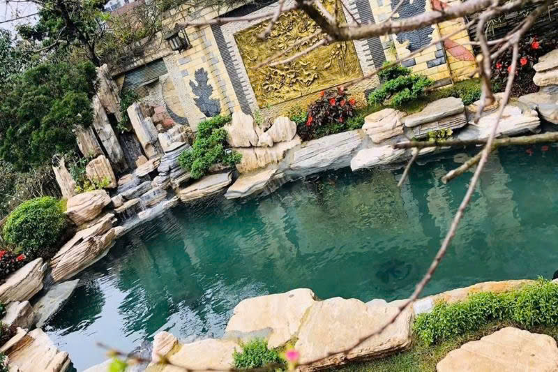 Thi công hồ cá koi chuyên nghiệp