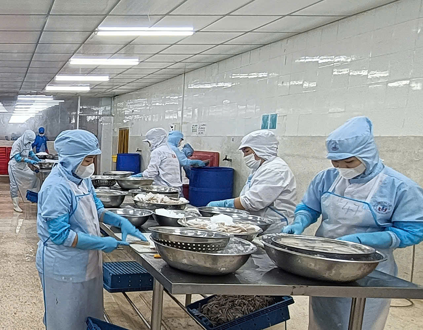 Sơ chế cá đục xuất khẩu ở Công ty TNHH Tứ Hải (TP.Vũng Tàu).