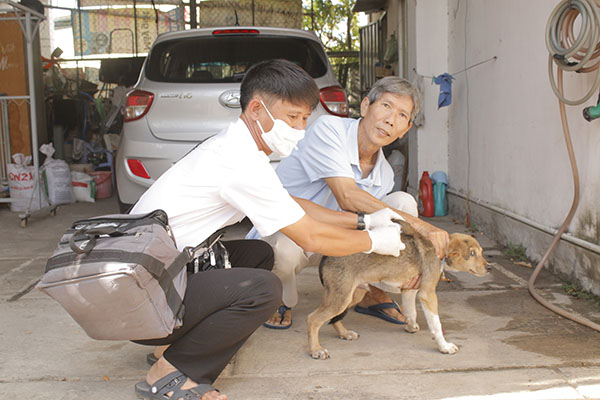 Cán bộ Trạm Chăn nuôi, Trồng trọt và Khuyến nông thị trấn Long Điền, huyện Long Đất tiêm vắc xin phòng dại cho chó trên địa bàn.