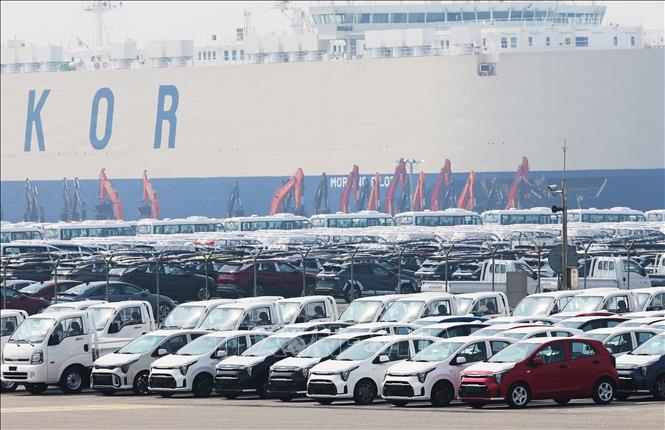 Xe ô tô xuất khẩu tại cảng Pyeongtaek, Hàn Quốc.