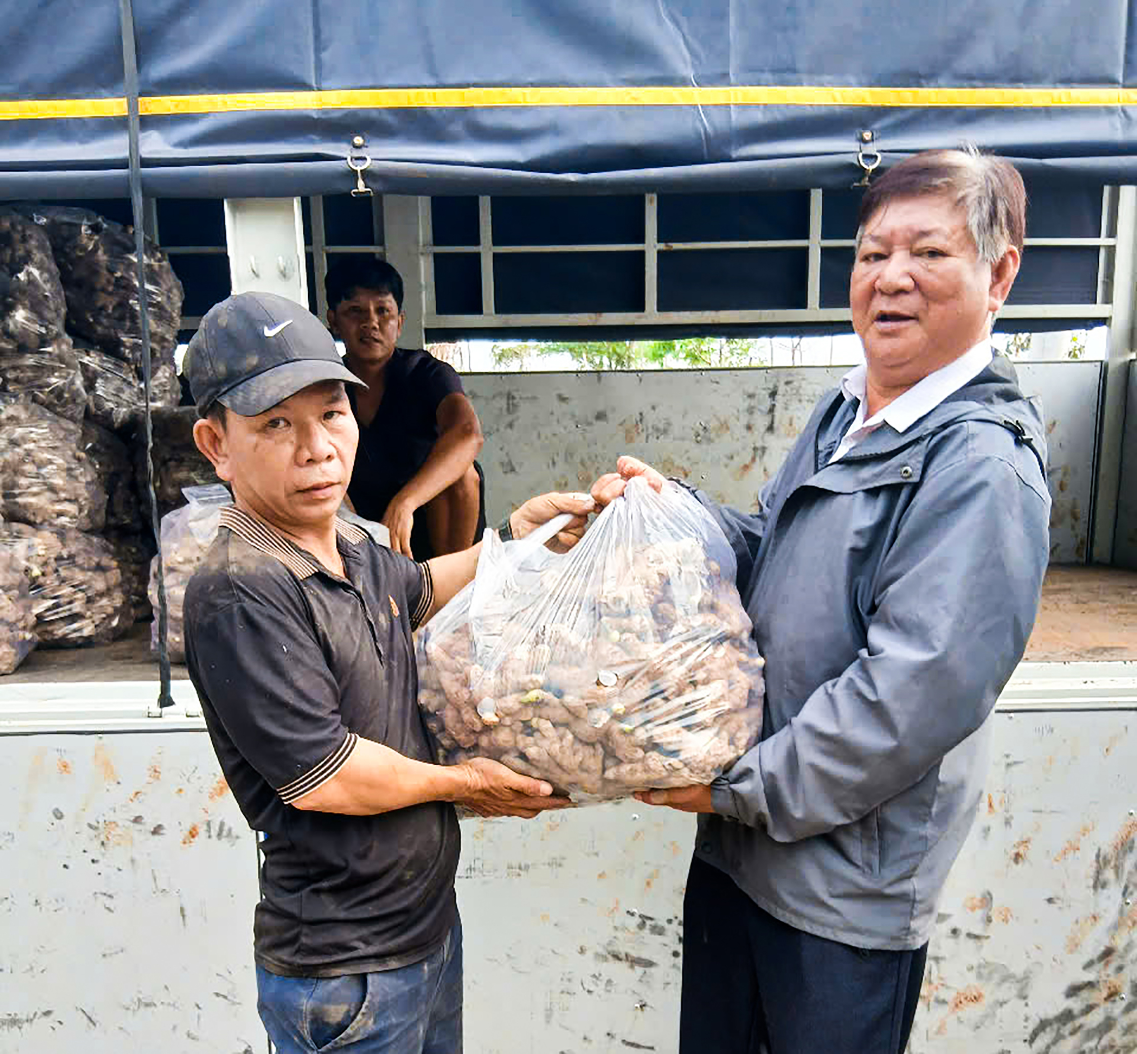 Ông Thân Xuân Động (phải), Phó Chủ tịch Hội Nông dân huyện bàn giao gừng giống cho hội viên nông dân xã Xuân Sơn.