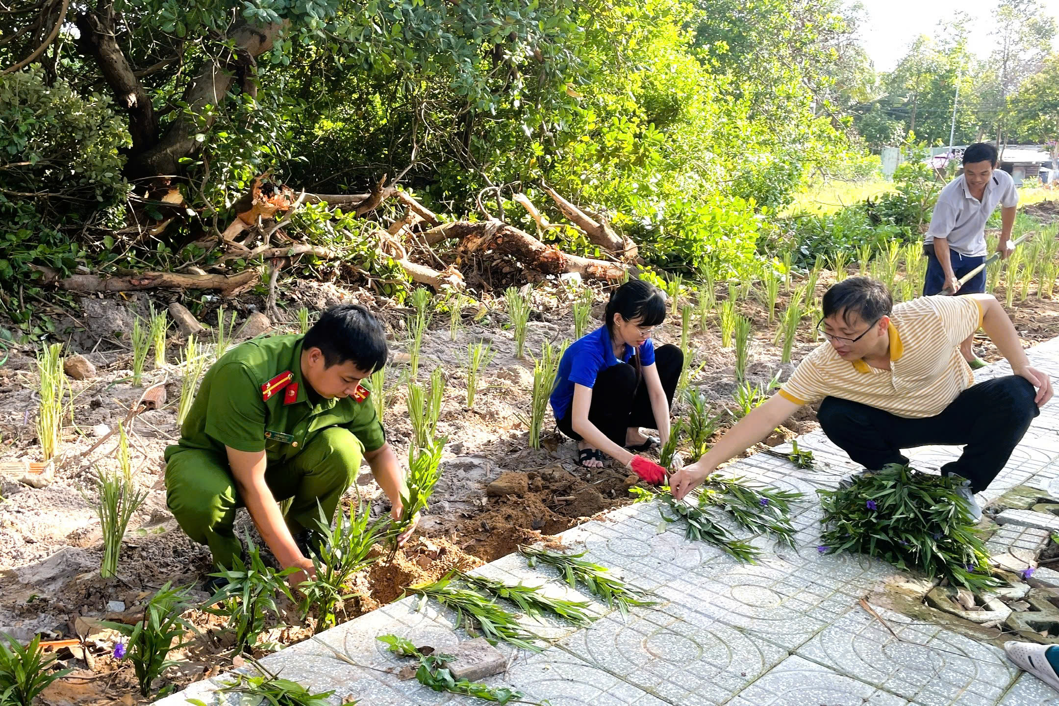 Các lực lượng ra quân thực hiện mô hình “Vườn thuốc nam xóa điểm rác” tại KDC số 5.