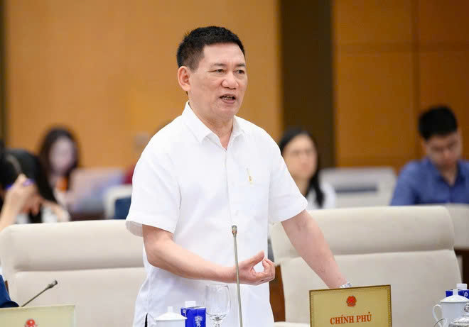 Phó Thủ tướng Chính phủ Hồ Đức Phớc phát biểu tại phiên thảo luận. Ảnh: DOÃN TẤN