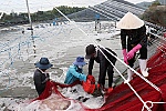 Hướng dẫn nông dân ứng dụng công nghệ số