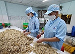 Thu lợi hàng tỷ đồng từ phế phụ phẩm hải sản