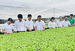 Cấp xã sẵn sàng đại hội sau sáp nhập