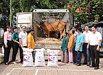 Trao con giống cho 5 hộ nông dân phát triển chăn nuôi​