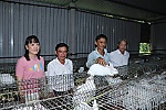 Thu nhập cả trăm triệu mỗi năm nhờ nuôi thỏ