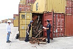 Hải quan khu vực XV đẩy mạnh số hóa