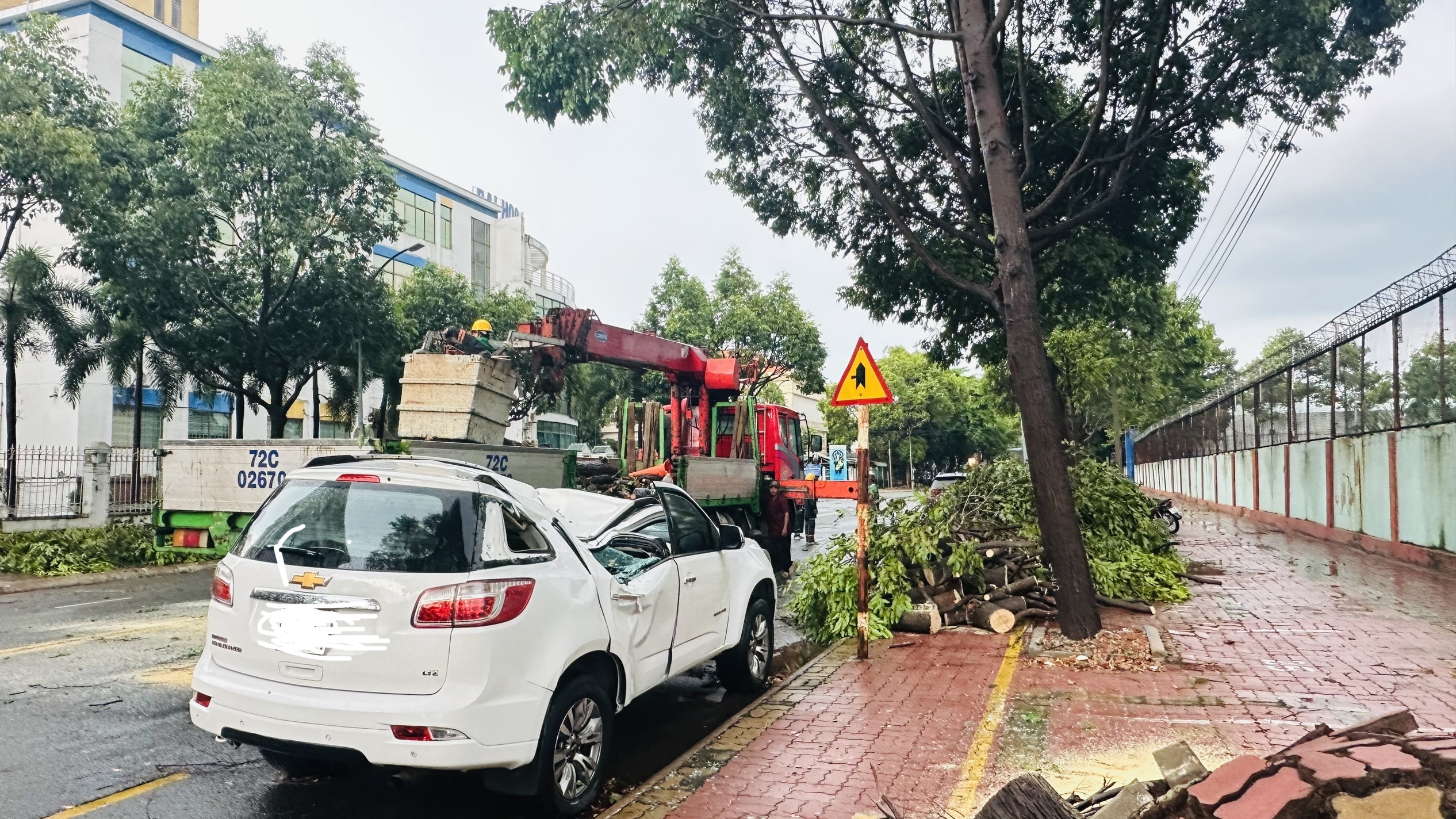 Cây sao đen trên đường Nguyễn Tri Phương đổ đè bẹp xe ô tô đậu bên đường khiến phương tiện này bị hư hỏng nặng